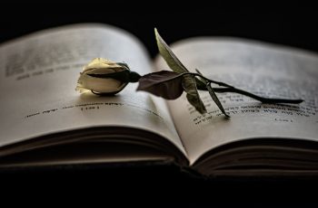 book-6668398_1280